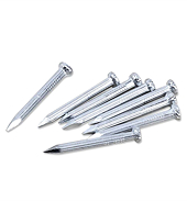 Steel Nails – The US investigates anti-subsidy measures