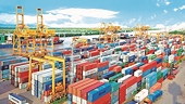 There are many opportunities for Vietnam's exports to increase in 2021