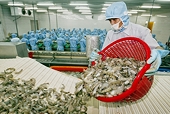 Vietnam-China trade turnover reaches US$100 billion in ten months