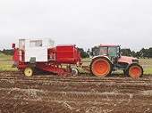 New Zealand: Spud dumping to be investigated
