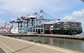 RCEP does not create a "shock" in tariff reduction for Vietnam