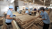 Vietnam’s timber and forestry exports reach US$11.7 billion