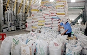 Improved rice quality helps export prices rise