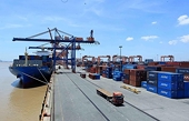 2020 trade surplus estimated at US$7 billion