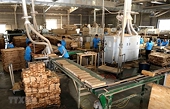 Wood exports to hit 12.5 billion USD in 2020