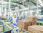 Preventing trade defence lawsuits in wood industry: Need for coordination with customs