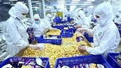 Continuing the success of exports
