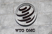 India implemented several measures to facilitate trade during 2015-20: WTO