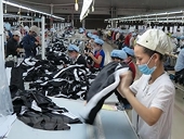 Vietnam maintains stable exports to Israel in 2020