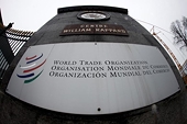 WTO facilitates UAE on BOPP film spat