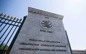 WTO Rules In Favor Of Seoul In Tariff Dispute With Washington