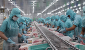 Cambodia pledges support for trade liberalisation after catfish import suspended