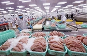 More trade remedy probes predicted for Vietnamese enterprises this year
