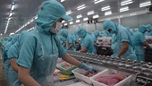 Agro-forestry-fishery exports aim to reach US$60-62 billion by 2030