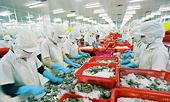 US lifts anti-dumping duties on Vietnam’s Minh Phu