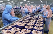 Farm produce exports to Netherlands soar