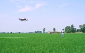 Vietnamese rice exports increase 10 percent