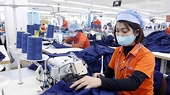 Vietnamese exports to Australia grows rapidly
