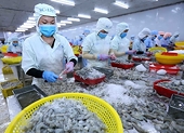 Aquatic product exports forecast to reach 9.4 billion USD in 2021