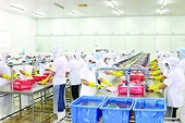 Many export orders at the beginning of the year