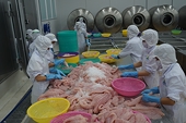 Vietnam’s seafood exports perform swimmingly due to free trade deals