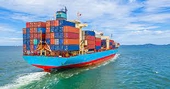 Statistics on anti-dumping case against imports conducted by Vietnam up to 31 Dec 2020