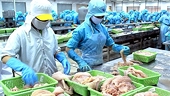 Vietnam’s fishery exports aim to be among world’s top three by 2045
