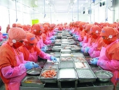 Shrimp exports over US$4 billion is "in hand"