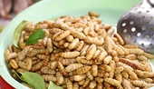 Vietnam authorised to export insect-based food to EU