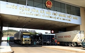 Agro-fishery exports to China face challenges due to COVID-19