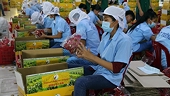 Encouraging signals in fruit and vegetable exports