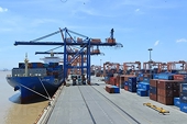 Competitive capacity key to gaining benefits from CPTPP and FTAs: experts