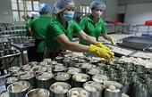Việt Nam’s exports to the US expected to rise sharply