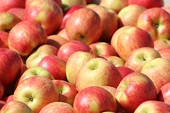 Vietnam not impacted by ban on importing 13 types of Algerian fruit