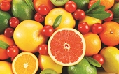 Fruit exports to the US thrive