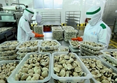 Việt Nam sees strong import, export recovery in first quarter