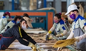 Vietnam replaces China as largest furniture exporter to US