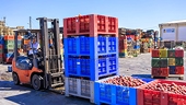 Vietnam stands ready to boost agricultural exports amid COVID-19