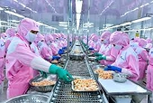 Vietnam looks to expand aquatic exports amid COVID-19 pandemic