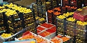 Fruit and vegetable exports increase sharply thanks to FTAs