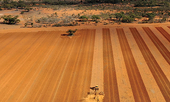 One year on, what has been the impact of China’s tariff on barley?