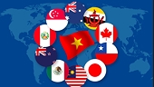Circular No. 19/2019/TT-BCT stipulating the application of special safeguard measures to implement the CPTPP Agreement