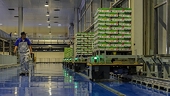 Exports bounce back strongly thanks to global economy reopening