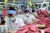 Local firms urged to grasp new consumption trends while exporting to EU