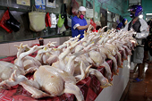 Indonesia to maintain rules on chicken imports as WTO dispute with Brazil continues