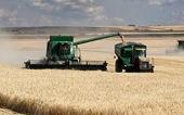 Australia, China dispute over barley tariffs heads to WTO