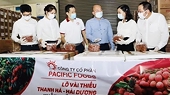 Vietnamese lychees head for EU markets