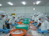 Việt Nam's tra fish exports expected to continue recovering