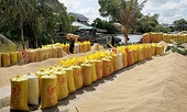 Vietnamese rice faces competition from India in Philippines