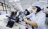 Textile-garment enterprises investing in materials to take advantage of FTAs